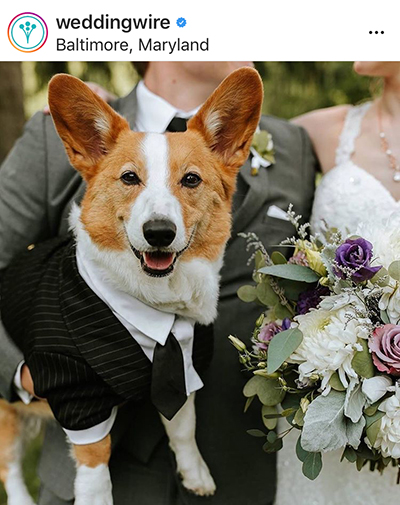 Love me Love my Dog บางทีก็เลือกไม่ได้ แนะนำว่าให้เลือกรักทั้งหมา และเจ้าของ