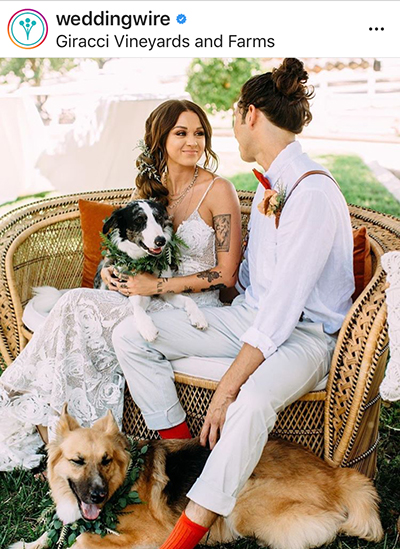 Love me Love my Dog บางทีก็เลือกไม่ได้ แนะนำว่าให้เลือกรักทั้งหมา และเจ้าของ