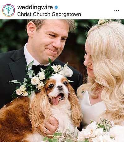 Love me Love my Dog บางทีก็เลือกไม่ได้ แนะนำว่าให้เลือกรักทั้งหมา และเจ้าของ