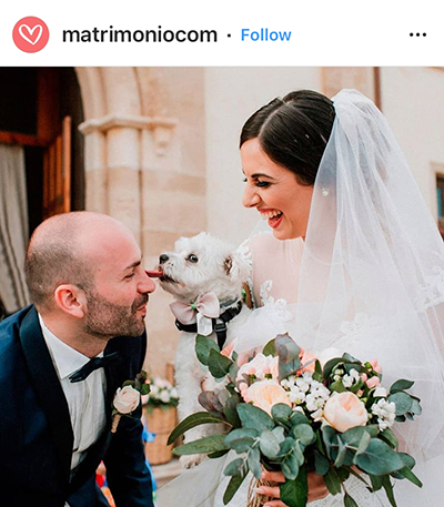 Love me Love my Dog บางทีก็เลือกไม่ได้ แนะนำว่าให้เลือกรักทั้งหมา และเจ้าของ