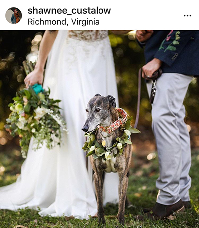 Love me Love my Dog บางทีก็เลือกไม่ได้ แนะนำว่าให้เลือกรักทั้งหมา และเจ้าของ