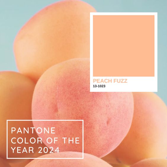 ไอเดียชุดแต่งงานสีพีช Peach Fuzz ตาม Pantone color
